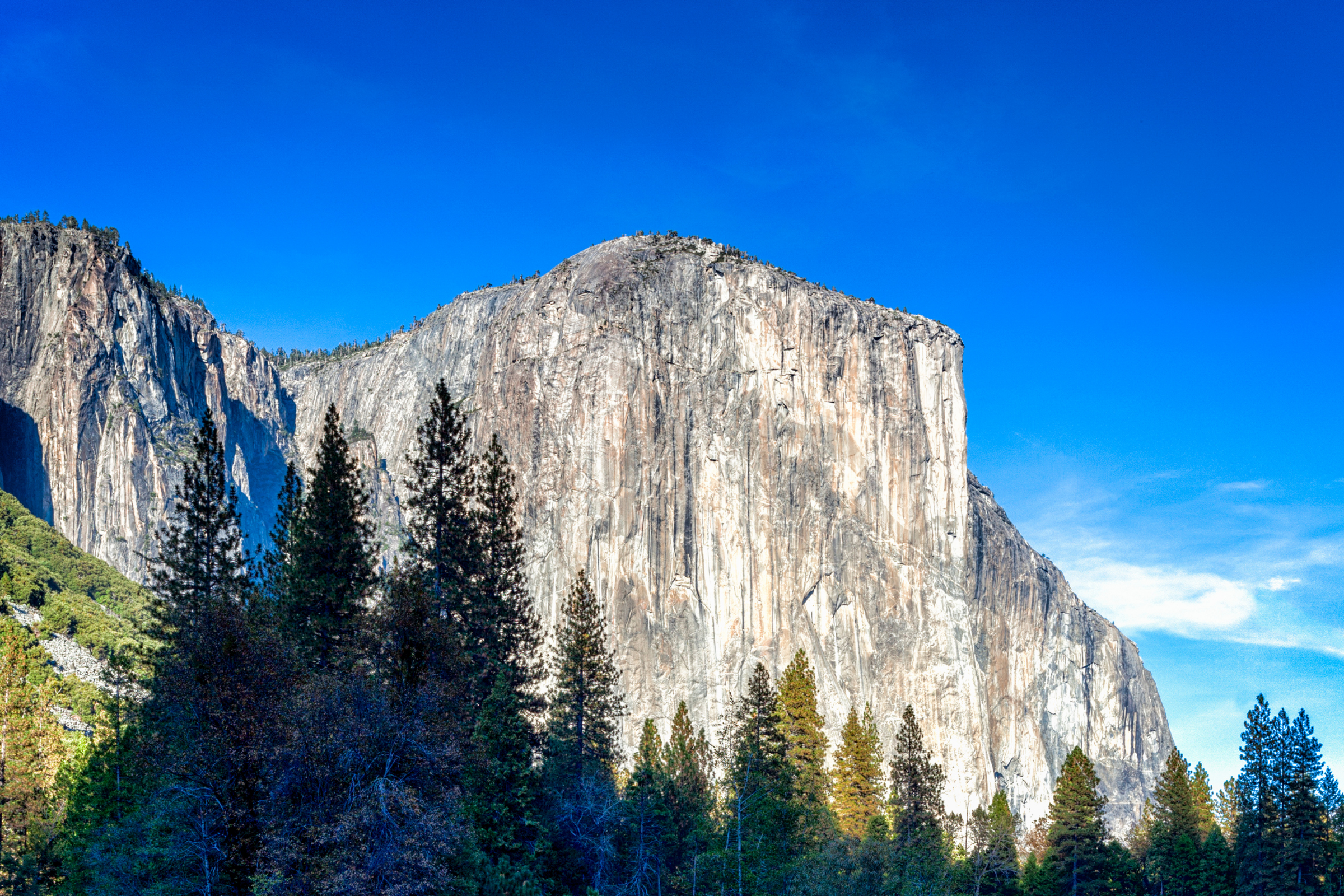 yosemite national park, california (3).webp